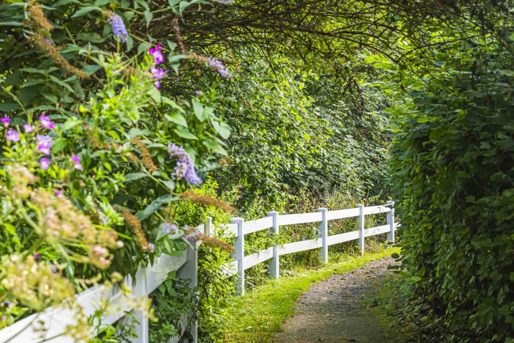 Images for Le Marchant, Townsend Gate EAID:RHEM0 BID:RHEM0