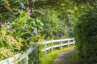 Images for Le Marchant, Townsend Gate
